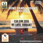 Can you feel my love tonight